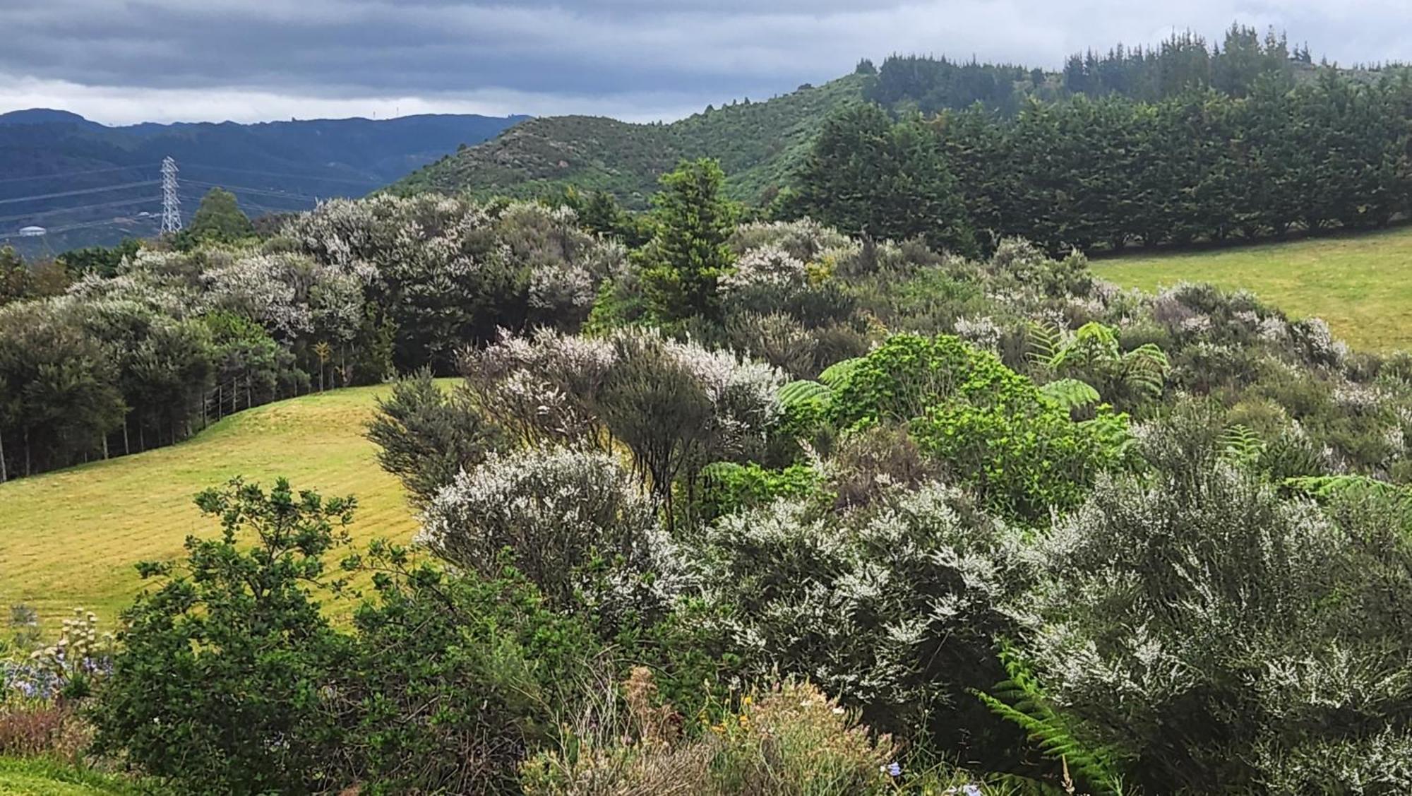 Hotel Boutique Art Retreat Upper Hutt Exteriér fotografie