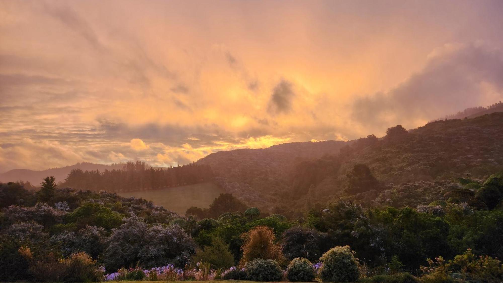 Hotel Boutique Art Retreat Upper Hutt Exteriér fotografie